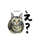 カギしっぽのセイ（個別スタンプ：27）
