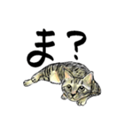 カギしっぽのセイ（個別スタンプ：28）