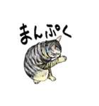カギしっぽのセイ（個別スタンプ：30）