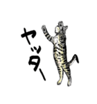 カギしっぽのセイ（個別スタンプ：32）