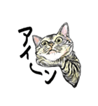 カギしっぽのセイ（個別スタンプ：37）