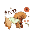 トイプードルRaniちゃん（個別スタンプ：4）