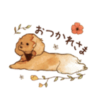 トイプードルRaniちゃん（個別スタンプ：8）