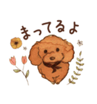 トイプードルRaniちゃん（個別スタンプ：13）