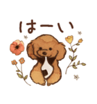 トイプードルRaniちゃん（個別スタンプ：14）