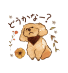 トイプードルRaniちゃん（個別スタンプ：17）