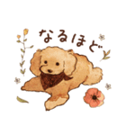 トイプードルRaniちゃん（個別スタンプ：19）
