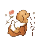 トイプードルRaniちゃん（個別スタンプ：20）