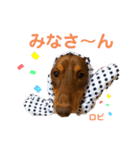 ロビたんスタンプ パートすり〜（個別スタンプ：1）