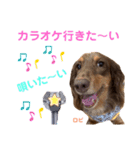 ロビたんスタンプ パートすり〜（個別スタンプ：3）