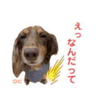 ロビたんスタンプ パートすり〜（個別スタンプ：8）