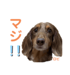 ロビたんスタンプ パートすり〜（個別スタンプ：10）
