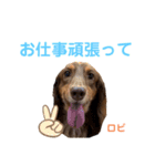 ロビたんスタンプ パートすり〜（個別スタンプ：19）