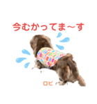 ロビたんスタンプ パートすり〜（個別スタンプ：20）