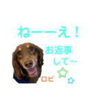 ロビたんスタンプ パートすり〜（個別スタンプ：21）