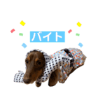 ロビたんスタンプ パートすり〜（個別スタンプ：23）