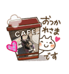 ちょこ（チワシュナ）（個別スタンプ：3）