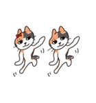 エブリシングキャット（個別スタンプ：1）