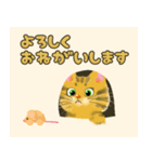 【キジねこ】丁寧♡ほんわか優しいトラ猫（個別スタンプ：4）