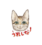 ねこの初夏ちゃん 関西ことばスタンプ（個別スタンプ：1）