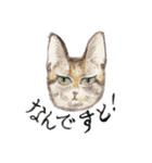 ねこの初夏ちゃん 関西ことばスタンプ（個別スタンプ：2）