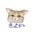 ねこの初夏ちゃん 関西ことばスタンプ（個別スタンプ：6）