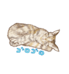 ねこの初夏ちゃん 関西ことばスタンプ（個別スタンプ：9）