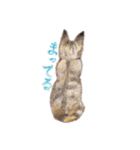ねこの初夏ちゃん 関西ことばスタンプ（個別スタンプ：14）