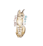 ねこの初夏ちゃん 関西ことばスタンプ（個別スタンプ：15）