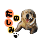 ゆかいななかまたち___1（個別スタンプ：2）