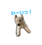 ゆかいななかまたち___1（個別スタンプ：3）