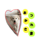 ゆかいななかまたち___1（個別スタンプ：7）