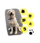 ゆかいななかまたち___1（個別スタンプ：8）