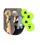 ゆかいななかまたち___1（個別スタンプ：20）
