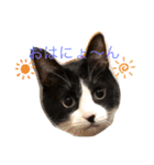 なーくん②（個別スタンプ：1）