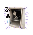 なーくん②（個別スタンプ：3）