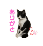 なーくん②（個別スタンプ：12）