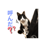 なーくん②（個別スタンプ：16）