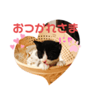 なーくん②（個別スタンプ：18）