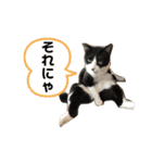 なーくん②（個別スタンプ：21）