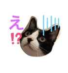 なーくん②（個別スタンプ：23）