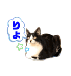 なーくん②（個別スタンプ：28）