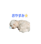 ましゅ・まろんのスタンプ（個別スタンプ：2）