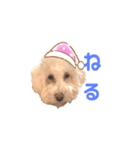 ましゅ・まろんのスタンプ（個別スタンプ：3）