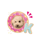 ましゅ・まろんのスタンプ（個別スタンプ：5）