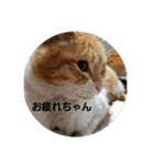 おやこちゃん（個別スタンプ：2）