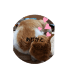 おやこちゃん（個別スタンプ：3）