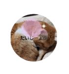 おやこちゃん（個別スタンプ：8）