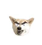 柴犬こたろうの日常2（個別スタンプ：26）