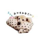 ぐりゅっくちゃん（実写版）（個別スタンプ：20）